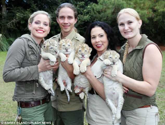 Biały lew i biały tygrys mieli razem dzieci i są najbardziej uroczymi rzeczami na ziemi