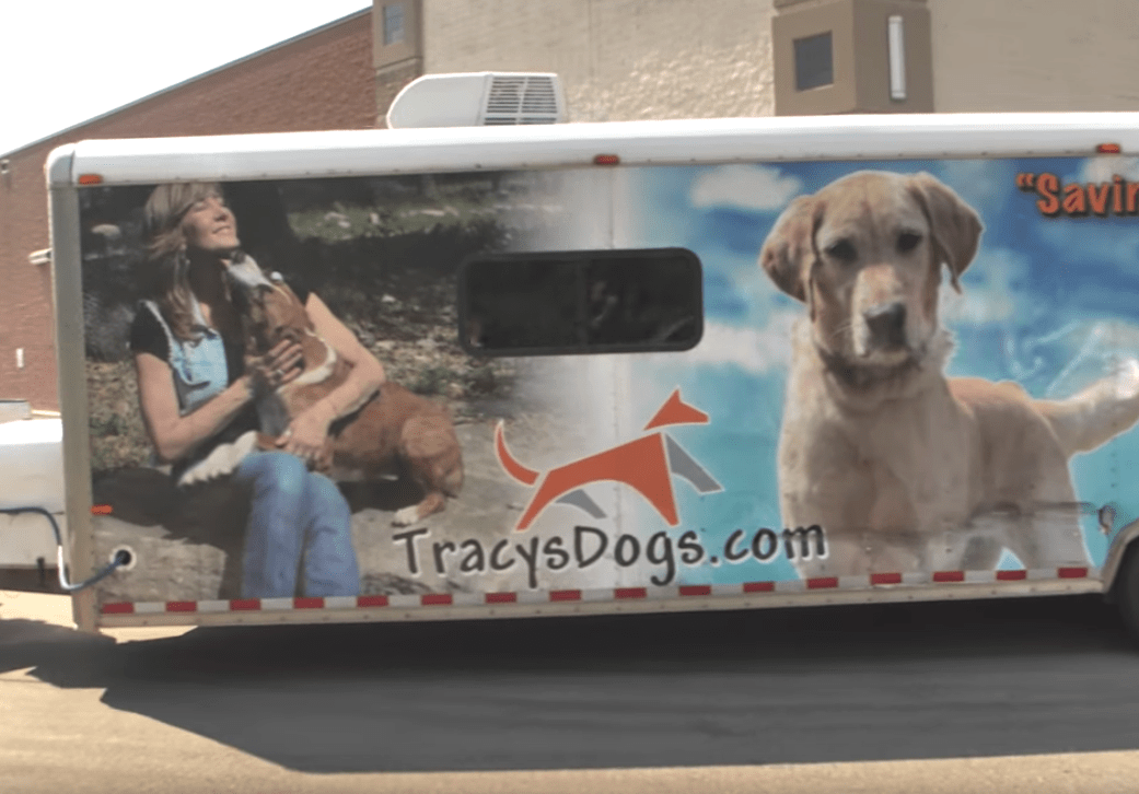 Para adoptuje psa bez uprzedniego spotkania się z nimi, a potem podjeżdża ciężarówka ratownicza i otwierają się drzwi przyczepy